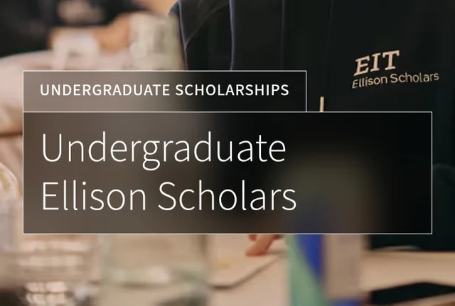 2027 Ellison Undergraduate Scholars Program in the UK