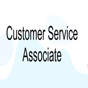 Customer Support Associate at Wing Assistant