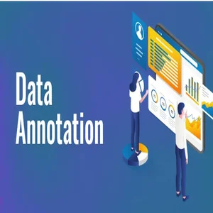 Data Annotator at DataLens