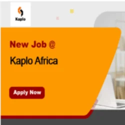 Digital Marketing Intern at Kaplo