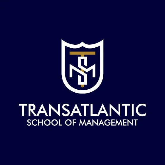 Frontend & Backend Developer Intern At TSM