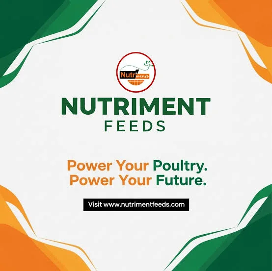 Graduates Recruitment Opportunities at Nutriment Feed Limited
