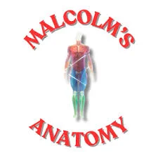 Malcolm’s Anatomy is Hiring Communications & Outreach Lead (Volunteer)