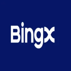 Risk Intelligence Operations Specialist at BingX
