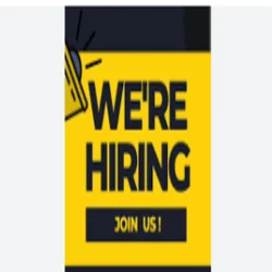Sales Agent at OurPixo