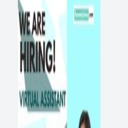 Virtual Assistant at DIS Innovation Limited