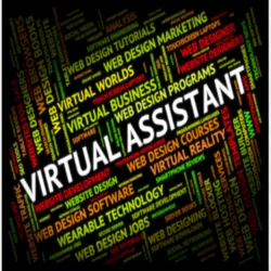Virtual Assistant (Remote)